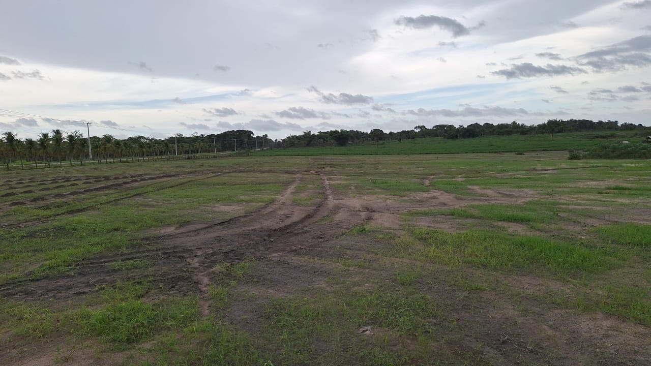 WhatsApp-Image-2025-05-16-at-15.47.43-3 (1)