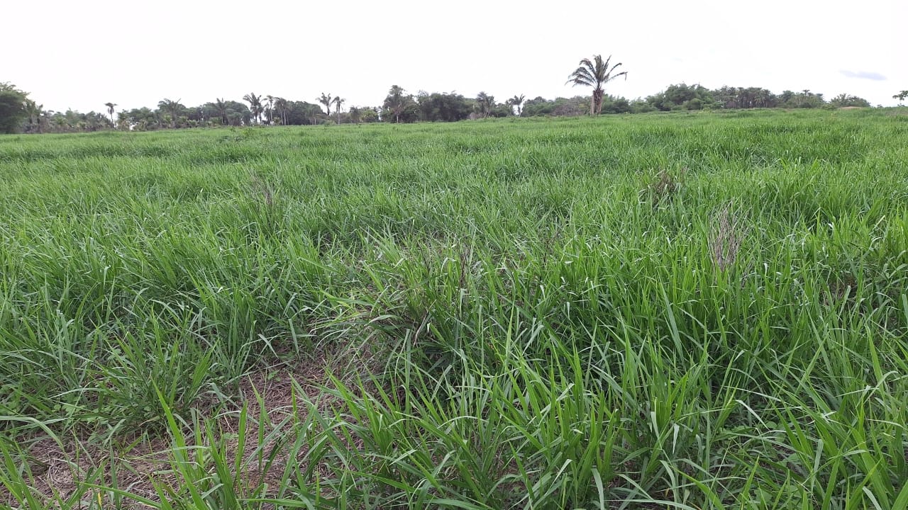 WhatsApp-Image-2025-05-16-at-15.47.43-4