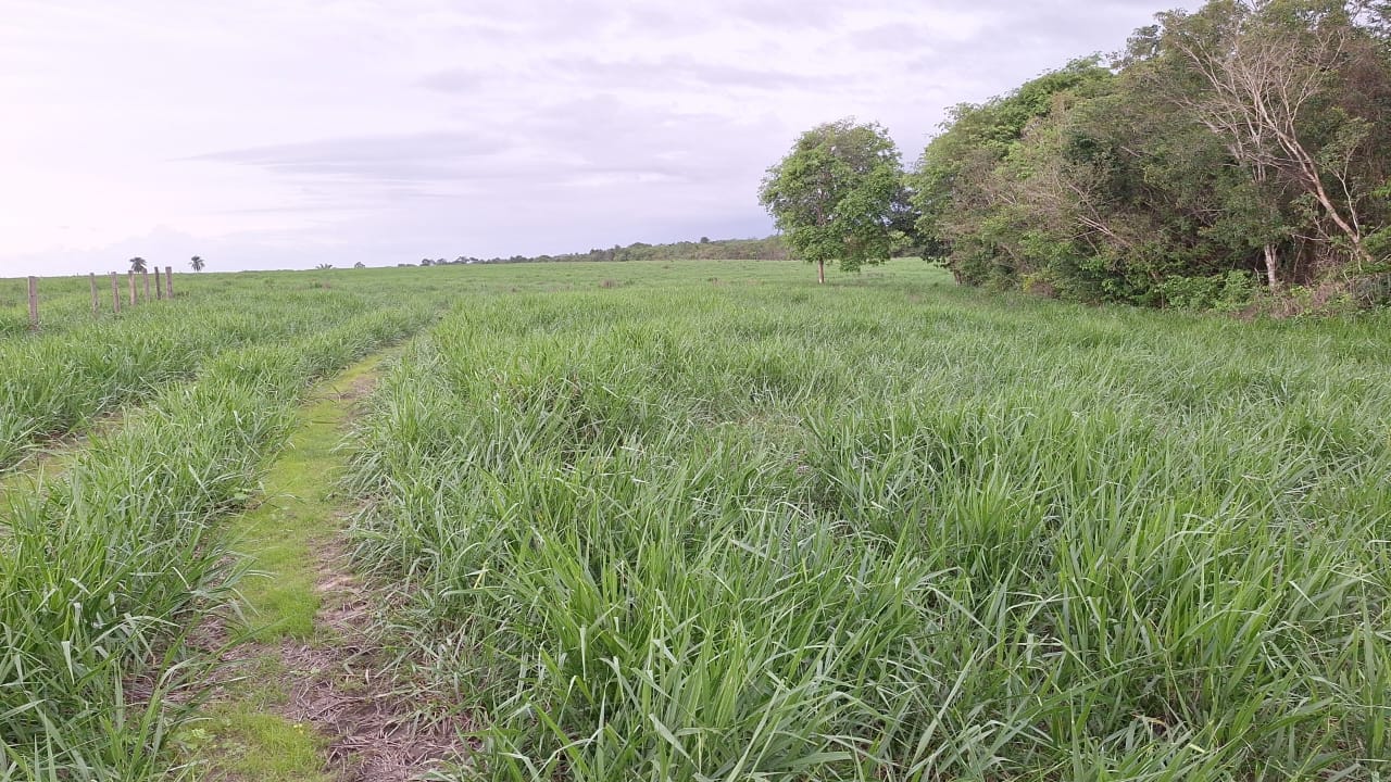 WhatsApp-Image-2025-05-16-at-15.47.44-2