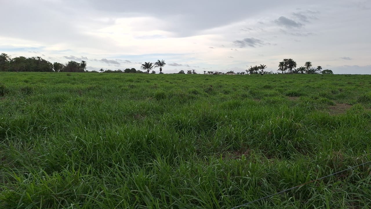 WhatsApp-Image-2025-05-16-at-15.47.44-3