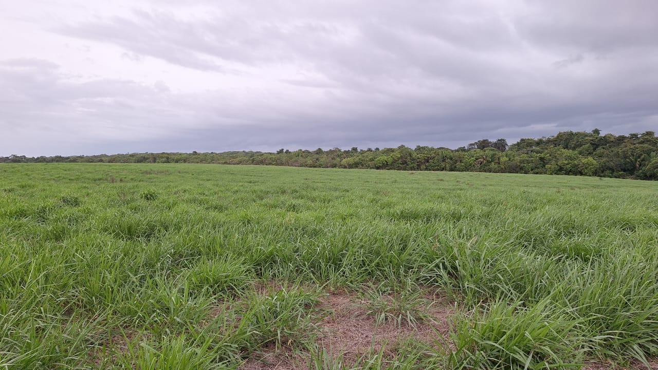 WhatsApp-Image-2025-05-16-at-15.47.45-2