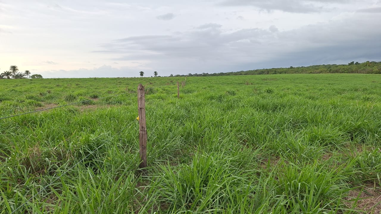 WhatsApp-Image-2025-05-16-at-15.47.45-3